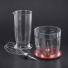 Russell Hobbs Desire 24700-56 3u1 Ručni Blender | Outlet BGD