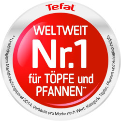 Tefal Mineral Signature Wok 26 cm | Liveni Aluminijum | Indukcija