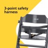 Safety 1st Timba Visoka Stolica – Bukva Masiv, Siva, 6m-10god | Outlet BGD