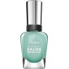 Sally Hansen Complete Salon Manicure Set od 10 Lakova | Outlet BGD