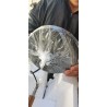 Loistaa Kjul siva LED plafonska lampa sa deset staklenih kugli i metalnim ramom