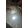 Fischer & Honsel Kugel Opal Stona Lampa 25cm - E27