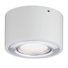 Nemačka nadgradna LED spot lampa Paulmann Argun od brušenog aluminijuma sa nagibom od 50 stepeni