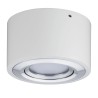 Nemačka nadgradna LED spot lampa Paulmann Argun od brušenog aluminijuma sa nagibom od 50 stepeni