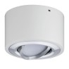 Nemačka nadgradna LED spot lampa Paulmann Argun od brušenog aluminijuma sa nagibom od 50 stepeni