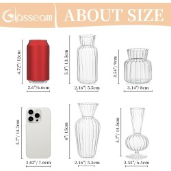 Glasseam Set od 8 Dekorativnih Mini Vaza | Borosilikatno Staklo