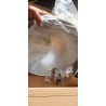 Globo Miram Visilica | Boja Cementa ø41cm | Industrijski Stil