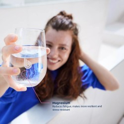 BWT Magnesium Mineralized Filteri 12 kom - Godišnja Zaliha | Outlet BGD