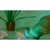 Philips LivingColors Bloom bela LED stona lampa sa daljinskim upravljačem i ambijentalnim svetlom u boji
