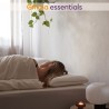 Emma Essentials Jastuk | Memorijska Pena 80x35 cm