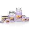 Yankee Candle Lemon Lavender mirisna sveća u maloj staklenoj tegli od 104 grama sa aromom limuna i lavande