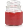 Yankee Candle Mandarin Cranberry mirisna sveća u maloj staklenoj tegli od 104 grama sa voćnim mirisom mandarine i brusnice