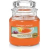 ankee Candle Passion Fruit Martini mirisna sveća u maloj staklenoj tegli od 104 grama sa tropskim motivom marakuje i manga