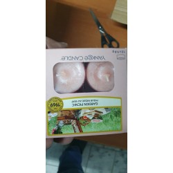 Yankee Candle Garden Picnic set od 12 mirisnih čajnih sveća sa voćno-cvetnim mirisom