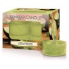 Yankee Candle Lime & Coriander čajne svećice u pakovanju od 12 komada sa cvetno-biljnim mirisom limete i korijandera