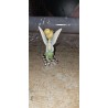 Popravljena Jim Shore Tinker Bell A Pixie Delight figura sa zalepljenim krilom-2