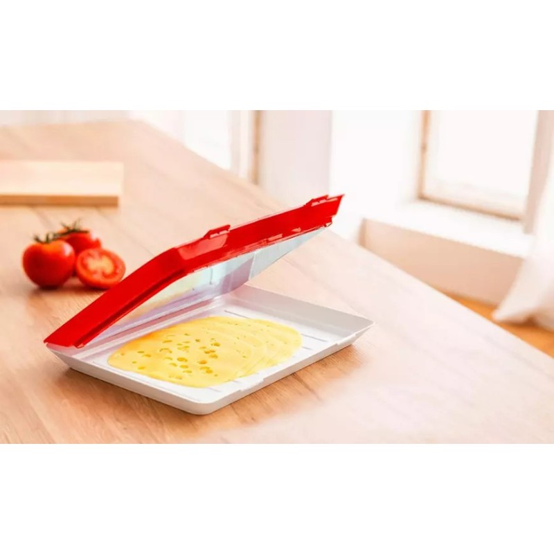 Poslužavnik Za Čuvanje Hrane U Frižideru, 30 X 22.8 X 2.8 Cm | Outlet BGD