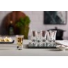 Bormioli Rocco Dublino Set Od 5 Čaša Za Žestoka Pića, 57ml | Outlet BGD