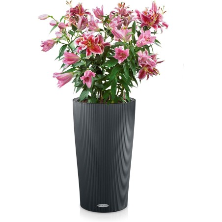 Lechuza CILINDRO Color 32 ALL-IN-ONE saksija, 32x56 cm | Outlet BGD