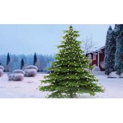 CHRISTmaxx LED svetlosna piramida za spoljašnji prostor, 2 m | Outlet BGD