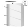 Beli Loftscape Salsa ormarić za kupatilo sa ogledalom i LED rasvetom 50x60x20 cm sa manjom naprslinom daske