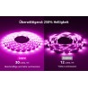 Lepro Smart LED Traka 10 m RGB IP65 za Alexa i Google Home | Outlet BGD
