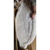 Trixie 49920 zidna ležaljka za mačke, 54x28x33 cm | Outlet BGD