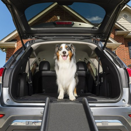 PetSafe Happy Ride sklopiva rampa, 157.5x40.6 cm | Outlet BGD