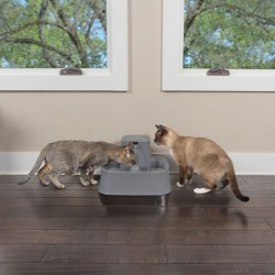 Petsafe Drinkwell fontana, 7.5 L | Outlet BGD