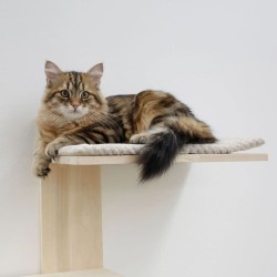 Kerbl Timber zidna penjalica/grebalica, 150 cm, drvo | Outlet BGD