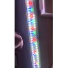 Juwel HeliaLuxSpectrum 1200 60W | Outlet BGD