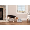 Petsafe Drinkwell fontana 3.7 L | Outlet BGD