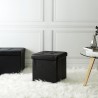 Home Deco sklopivi tabure sa prostorom za odlaganje, crna | Outlet BGD