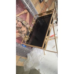 DKD Home Decor Crystal zlatni bočni stočić od metala i stakla sa tropskim dizajnom lista