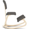 Varier Variable Plus stolica, siva, Peter Opsvik dizajn | Outlet BGD