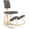 Varier Variable Plus stolica, siva, Peter Opsvik dizajn | Outlet BGD