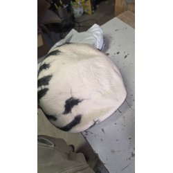 Woolygon pećina za mačke od 100% organske merino vune – ručno rađena | Outlet BGD