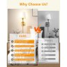 LuminexDesigns MW2121 set od dve zlatne zidne lampe sa belim abažurima bez sijalica
