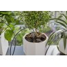 GARDENA set za zalivanje 13366-20 sa rezervoarom od 10.5 litara, pumpom, crevima i kapaljkama