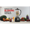 Crni Herzberg HG-5008 2 u 1 blender od 600 W sa posudom od 1.7 l i oštećenim zupcima